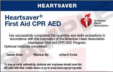 Find a CPR & First Aid class | Lifework Education